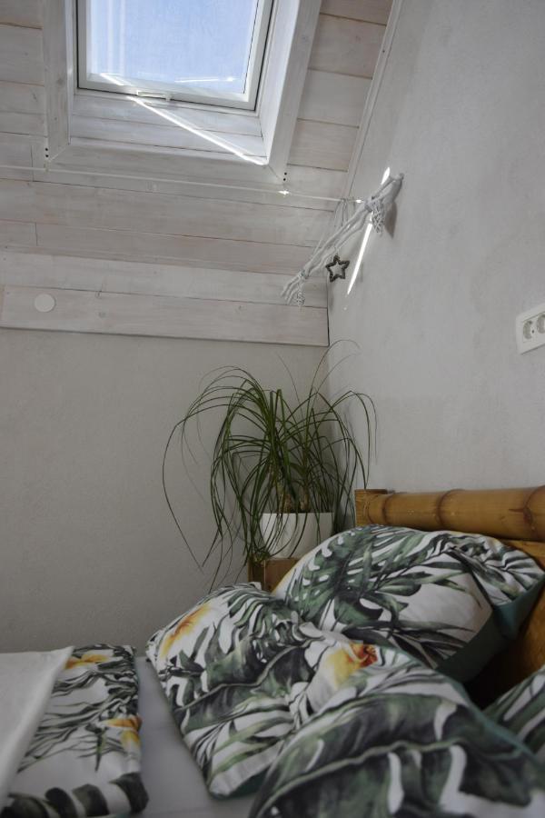 Catalina Lesce-Bled Apartment เลสเซ ภายนอก รูปภาพ